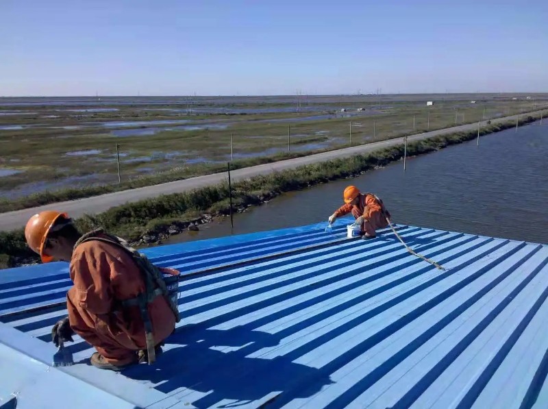 丹江口钢结构屋面漏水原因